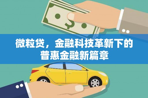 柳营微粒贷，金融科技革新下的普惠金融新篇章