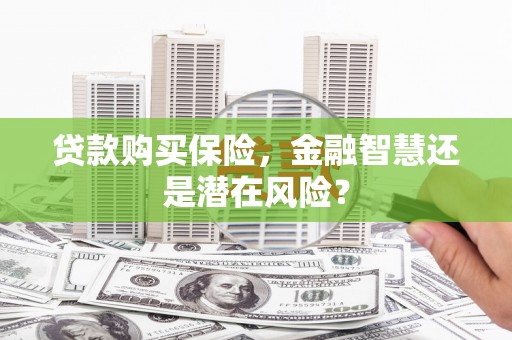 柳营贷款购买保险，金融智慧还是潜在风险？
