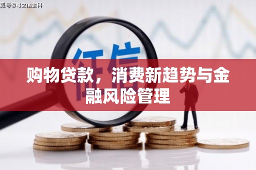 柳营购物贷款，消费新趋势与金融风险管理