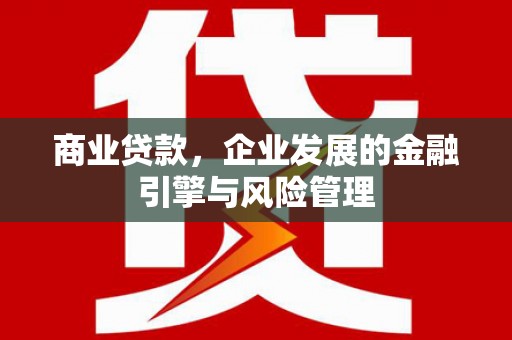 柳营商业贷款，企业发展的金融引擎与风险管理