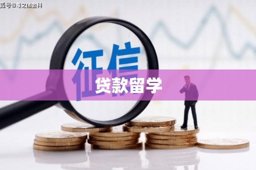 柳营贷款留学