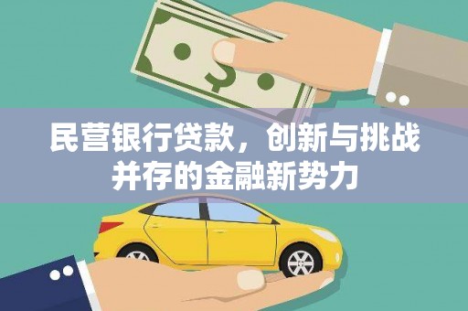 柳营民营银行贷款，创新与挑战并存的金融新势力