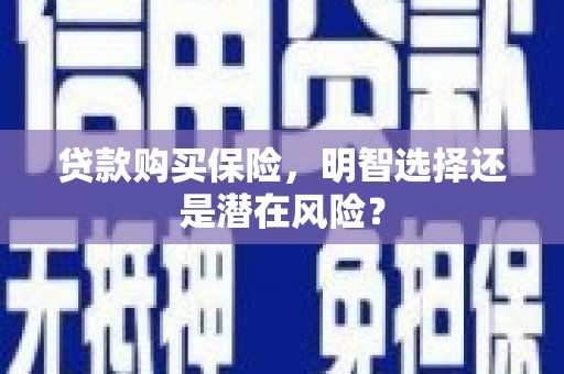 柳营贷款购买保险，明智选择还是潜在风险？