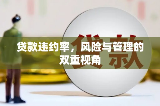 柳营贷款违约率，风险与管理的双重视角