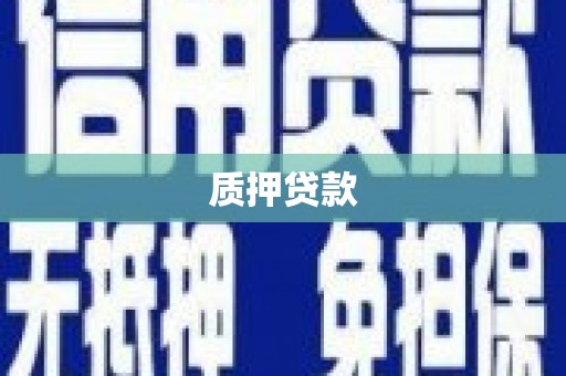柳营质押贷款