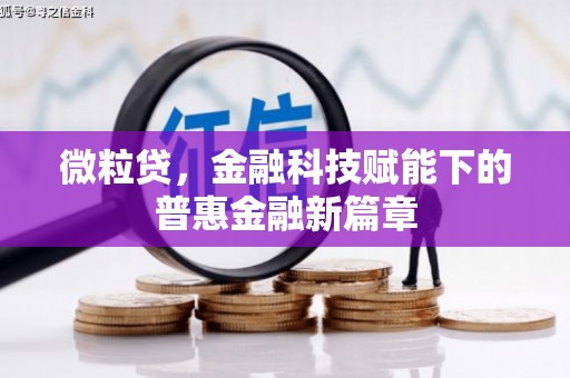 柳营微粒贷，金融科技赋能下的普惠金融新篇章
