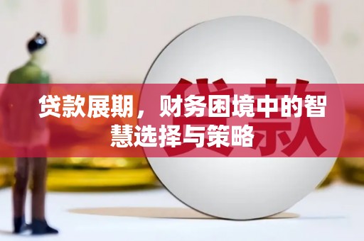 柳营贷款展期，财务困境中的智慧选择与策略
