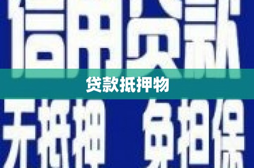 柳营贷款抵押物