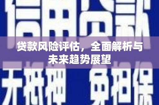 柳营贷款风险评估，全面解析与未来趋势展望