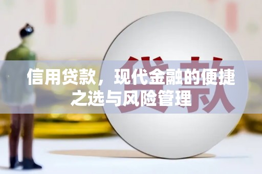 柳营信用贷款，现代金融的便捷之选与风险管理