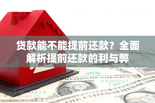 柳营贷款能不能提前还款？全面解析提前还款的利与弊