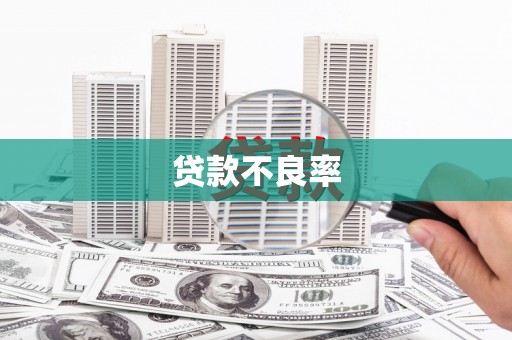 柳营贷款不良率