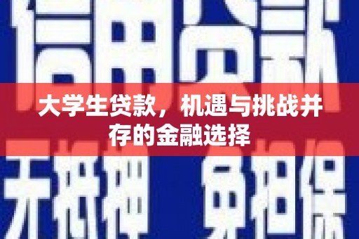 柳营大学生贷款，机遇与挑战并存的金融选择