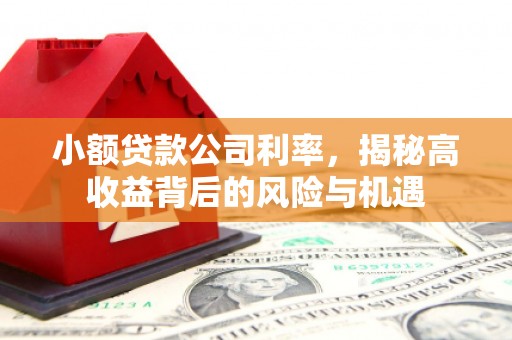 柳营小额贷款公司利率，揭秘高收益背后的风险与机遇