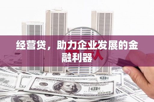 柳营经营贷，助力企业发展的金融利器