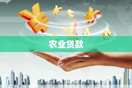 柳营农业贷款