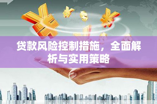 柳营贷款风险控制措施，全面解析与实用策略