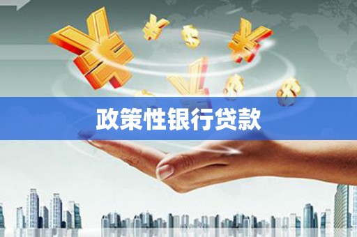 柳营政策性银行贷款