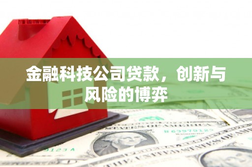 柳营金融科技公司贷款，创新与风险的博弈