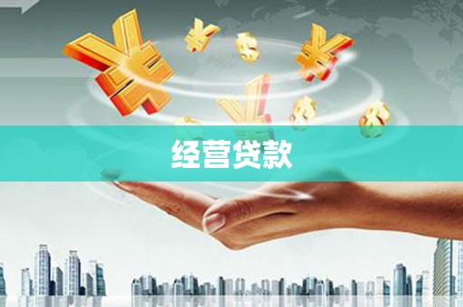 柳营经营贷款