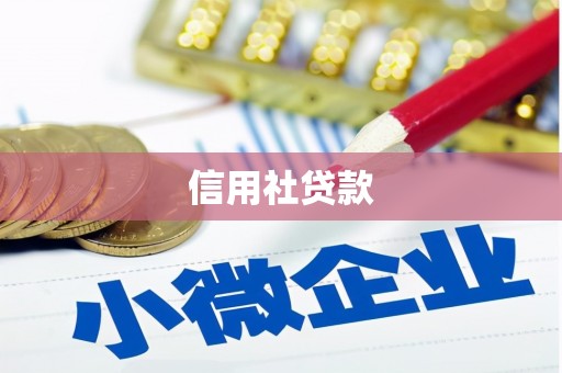 柳营信用社贷款