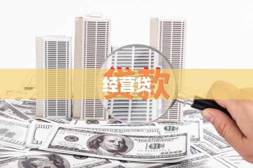 柳营经营贷