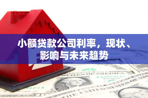 柳营小额贷款公司利率，现状、影响与未来趋势