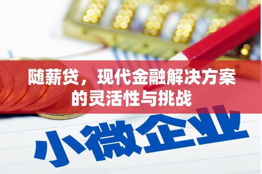 柳营随薪贷，现代金融解决方案的灵活性与挑战