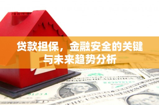 柳营贷款担保，金融安全的关键与未来趋势分析