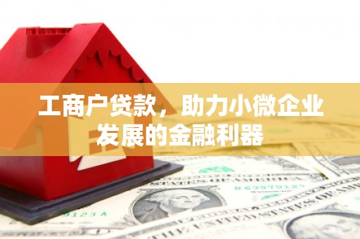 柳营工商户贷款，助力小微企业发展的金融利器