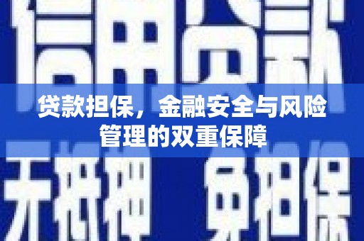 柳营贷款担保，金融安全与风险管理的双重保障