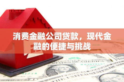 柳营消费金融公司贷款，现代金融的便捷与挑战