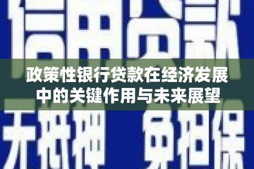 柳营政策性银行贷款在经济发展中的关键作用与未来展望