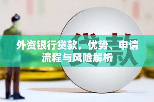 柳营外资银行贷款，优势、申请流程与风险解析
