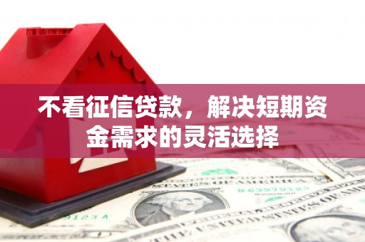 柳营不看征信贷款，解决短期资金需求的灵活选择