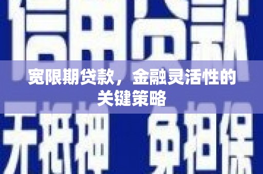 柳营宽限期贷款，金融灵活性的关键策略