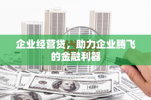 柳营企业经营贷，助力企业腾飞的金融利器