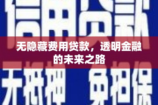 柳营无隐藏费用贷款，透明金融的未来之路