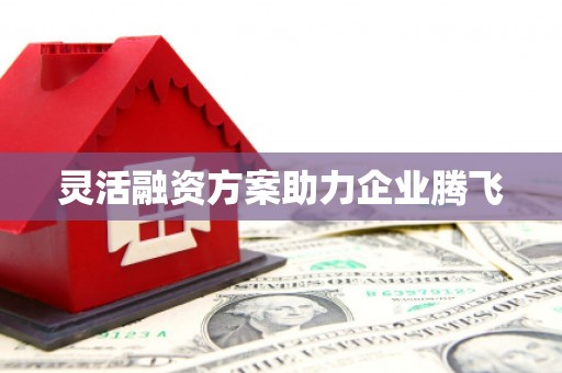 柳营灵活融资方案助力企业腾飞