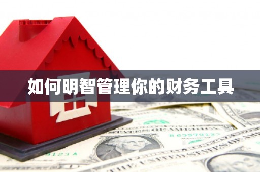 柳营如何明智管理你的财务工具