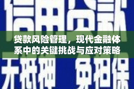 柳营贷款风险管理，现代金融体系中的关键挑战与应对策略