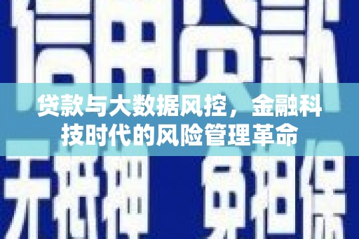 柳营贷款与大数据风控，金融科技时代的风险管理革命