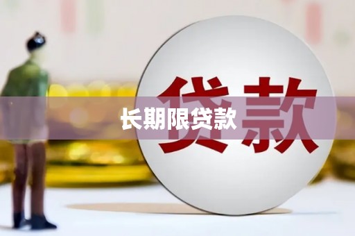 柳营长期限贷款