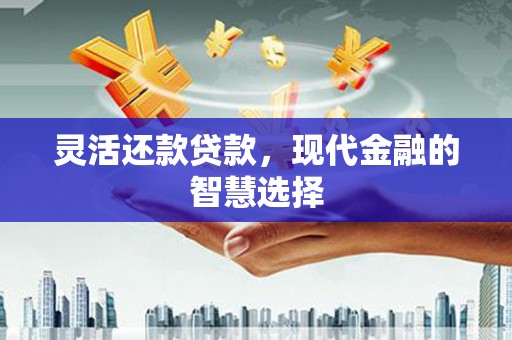 柳营灵活还款贷款，现代金融的智慧选择