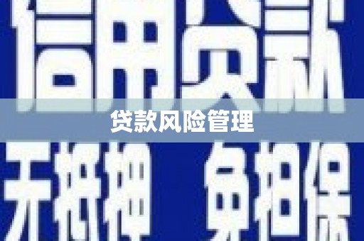 柳营贷款风险管理