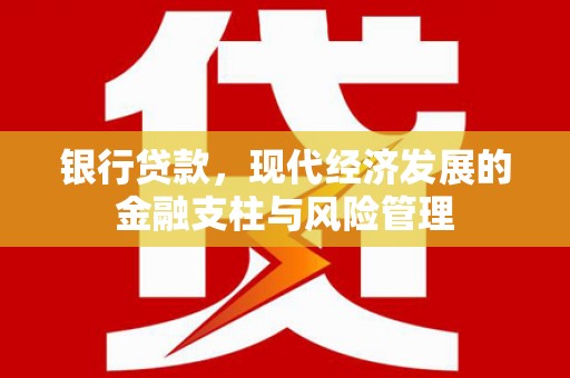 柳营银行贷款，现代经济发展的金融支柱与风险管理