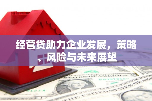 柳营经营贷助力企业发展，策略、风险与未来展望