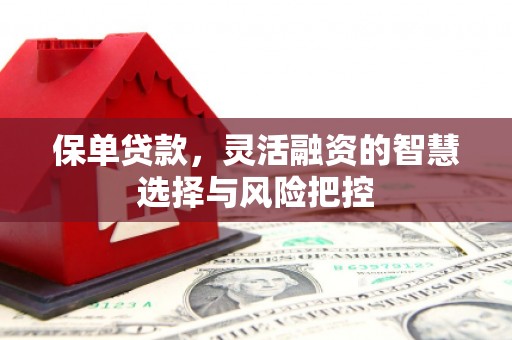 柳营保单贷款，灵活融资的智慧选择与风险把控