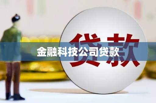 柳营金融科技公司贷款