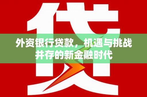 柳营外资银行贷款，机遇与挑战并存的新金融时代